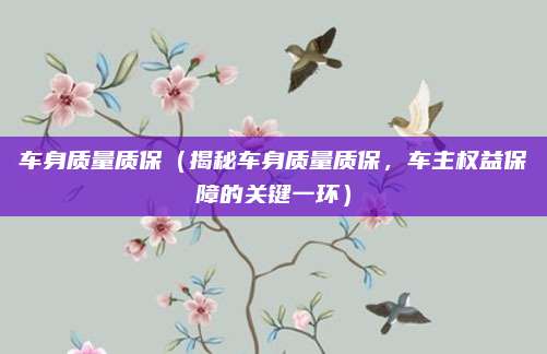 车身质量质保（揭秘车身质量质保，车主权益保障的关键一环）