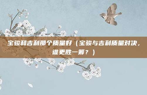 宝骏和吉利那个质量好（宝骏与吉利质量对决，谁更胜一筹？）