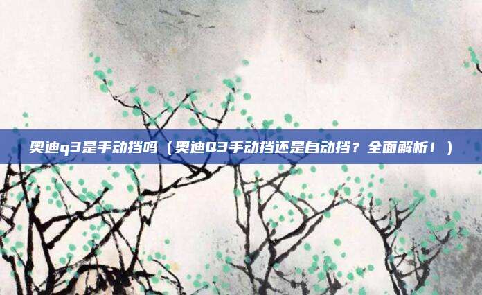 奥迪q3是手动挡吗(奥迪Q3手动挡还是自动挡?全面解析!)