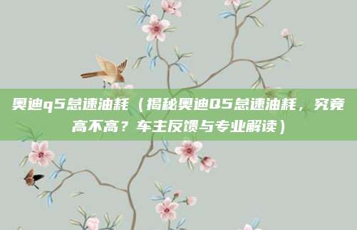 奥迪q5怠速油耗（揭秘奥迪Q5怠速油耗，究竟高不高？车主反馈与专业解读）