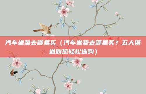 汽车坐垫去哪里买(汽车坐垫去哪里买?五大渠道助您轻松选购)
