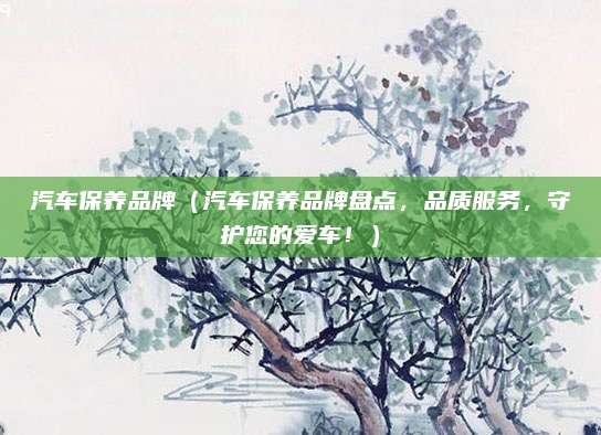 汽车保养品牌（汽车保养品牌盘点，品质服务，守护您的爱车！）