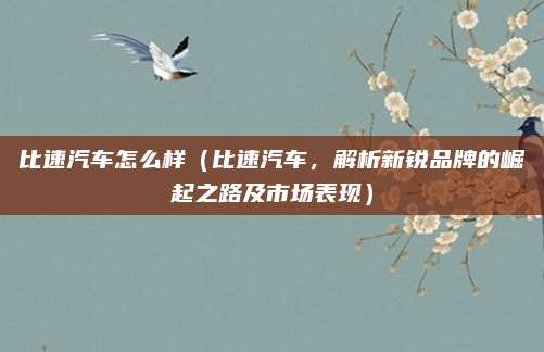 比速汽车怎么样（比速汽车，解析新锐品牌的崛起之路及市场表现）