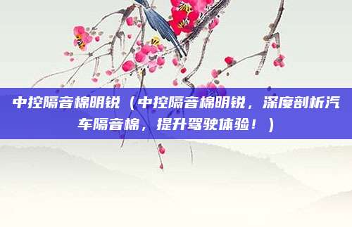 中控隔音棉明锐（中控隔音棉明锐，深度剖析汽车隔音棉，提升驾驶体验！）