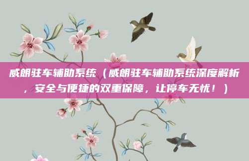 威朗驻车辅助系统（威朗驻车辅助系统深度解析，安全与便捷的双重保障，让停车无忧！）