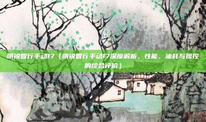 明锐智行手动17（明锐智行手动17深度解析，性能、油耗与操控的综合评价）