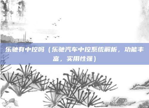 乐驰有中控吗（乐驰汽车中控系统解析，功能丰富，实用性强）