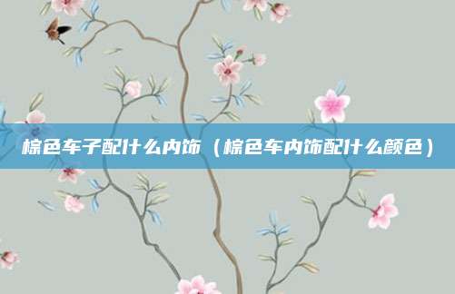 棕色车子配什么内饰(棕色车内饰配什么颜色)
