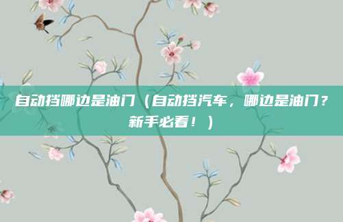 自动挡哪边是油门（自动挡汽车，哪边是油门？新手必看！）