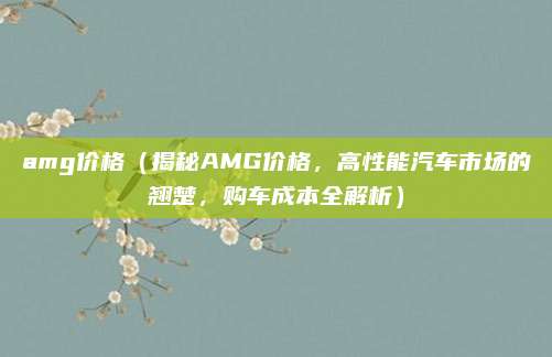 amg价格（揭秘AMG价格，高性能汽车市场的翘楚，购车成本全解析）