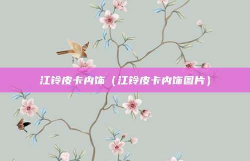 江铃皮卡内饰(江铃皮卡内饰图片)