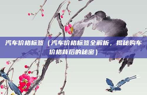 汽车价格标签（汽车价格标签全解析，揭秘购车价格背后的秘密）