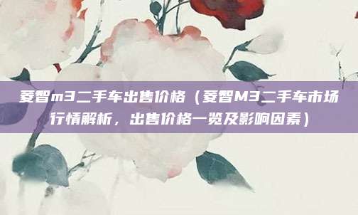 菱智m3二手车出售价格（菱智M3二手车市场行情解析，出售价格一览及影响因素）