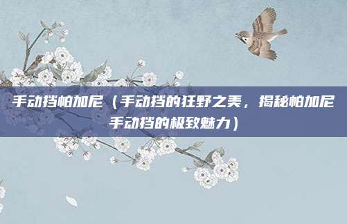 手动挡帕加尼（手动挡的狂野之美，揭秘帕加尼手动挡的极致魅力）