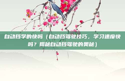 自动挡学的快吗（自动挡驾驶技巧，学习速度快吗？揭秘自动挡驾驶的奥秘）