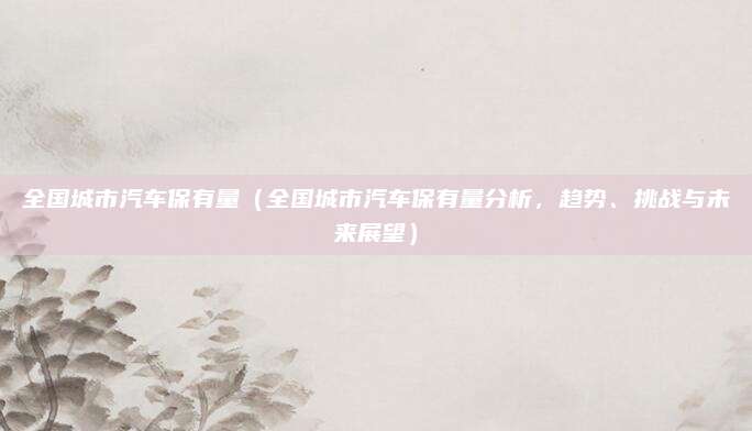 全国城市汽车保有量（全国城市汽车保有量分析，趋势、挑战与未来展望）