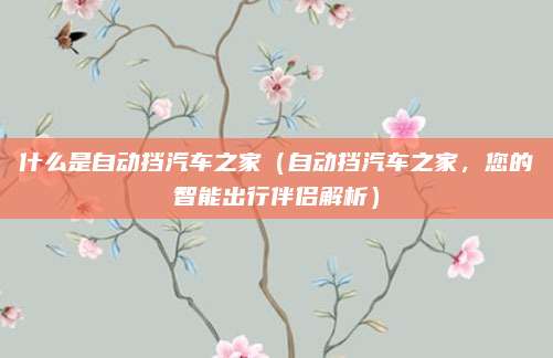 什么是自动挡汽车之家（自动挡汽车之家，您的智能出行伴侣解析）
