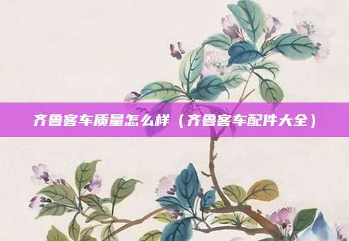 齐鲁客车质量怎么样(齐鲁客车配件大全)