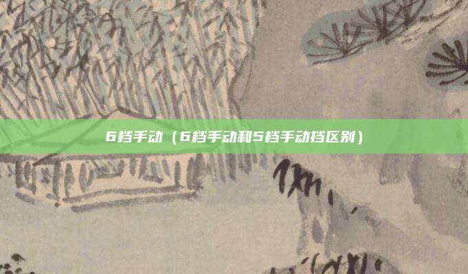 6档手动(6档手动和5档手动挡区别)
