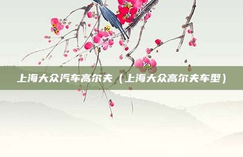 上海大众汽车高尔夫(上海大众高尔夫车型)