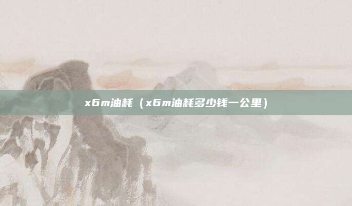 x6m油耗(x6m油耗多少钱一公里)
