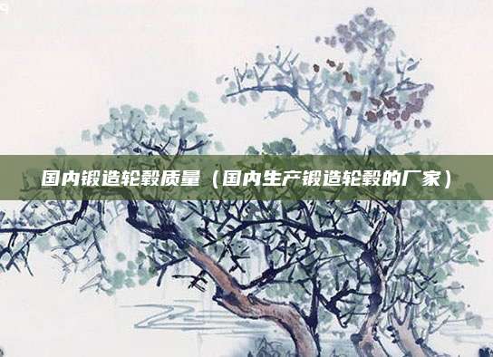 国内锻造轮毂质量(国内生产锻造轮毂的厂家)