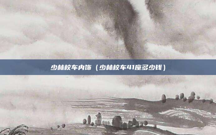 少林校车内饰(少林校车41座多少钱)