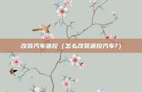 改装汽车遥控(怎么改装遥控汽车?)