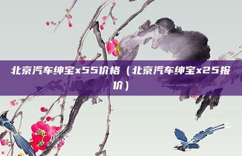 北京汽车绅宝x55价格(北京汽车绅宝x25报价)