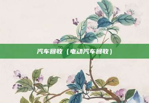 汽车回收(电动汽车回收)