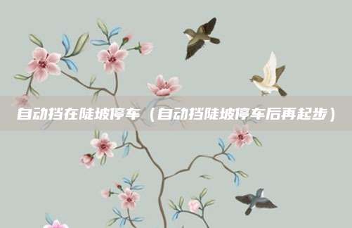 自动挡在陡坡停车(自动挡陡坡停车后再起步)