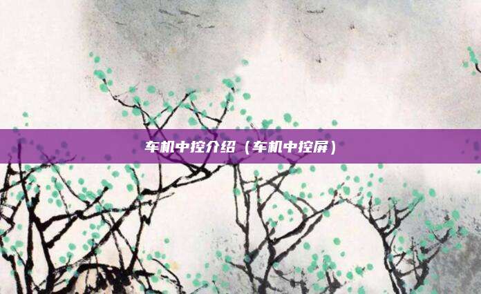 车机中控介绍(车机中控屏)