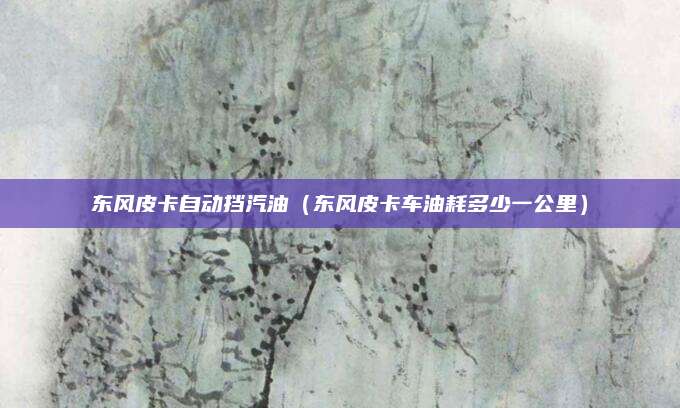 东风皮卡自动挡汽油(东风皮卡车油耗多少一公里)