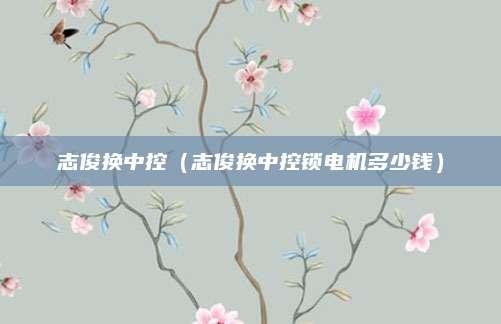 志俊换中控(志俊换中控锁电机多少钱)
