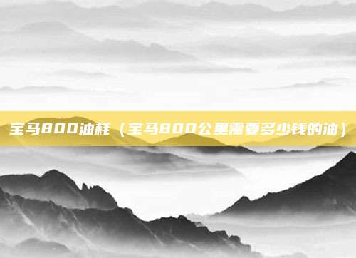 宝马800油耗(宝马800公里需要多少钱的油)