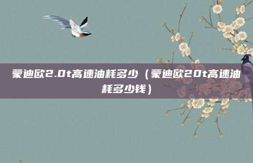 蒙迪欧2.0t高速油耗多少(蒙迪欧20t高速油耗多少钱)