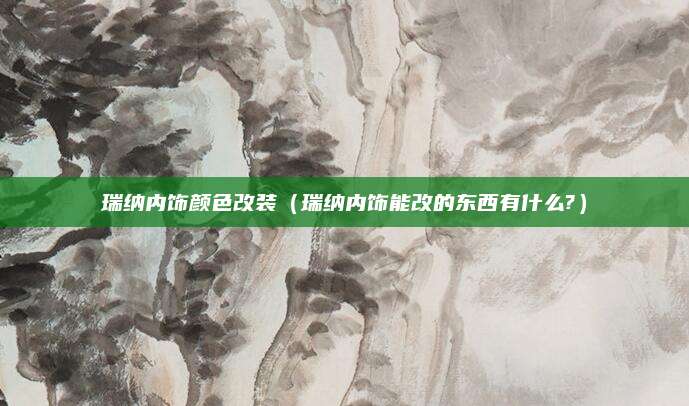 瑞纳内饰颜色改装(瑞纳内饰能改的东西有什么?)