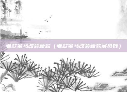 老款宝马改装新款(老款宝马改装新款多少钱)