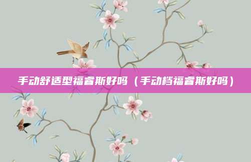 手动舒适型福睿斯好吗(手动档福睿斯好吗)