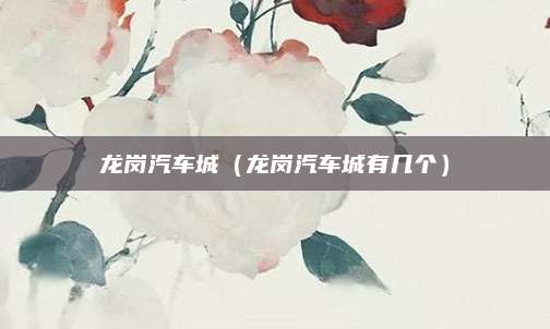 龙岗汽车城(龙岗汽车城有几个)