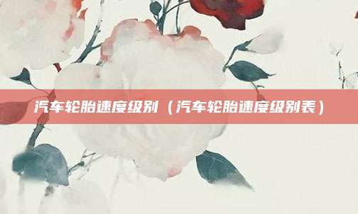 汽车轮胎速度级别(汽车轮胎速度级别表)