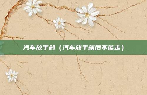 汽车放手刹（汽车放手刹后不能走）