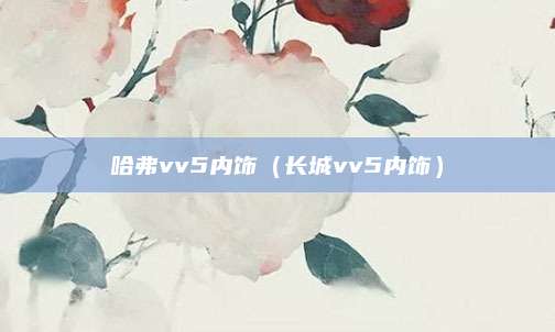 哈弗vv5内饰(长城vv5内饰)