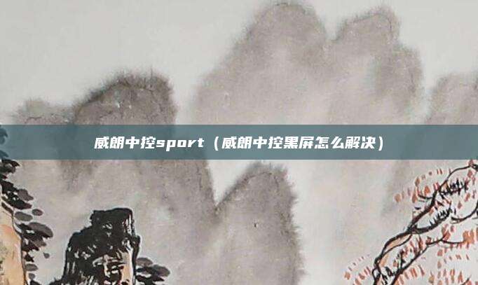 威朗中控sport(威朗中控黑屏怎么解决)