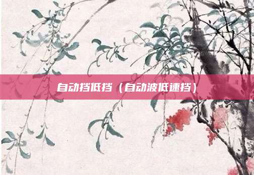 自动挡低挡(自动波低速挡)