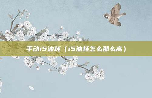 手动i5油耗(i5油耗怎么那么高)