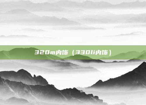 320m内饰(330li内饰)
