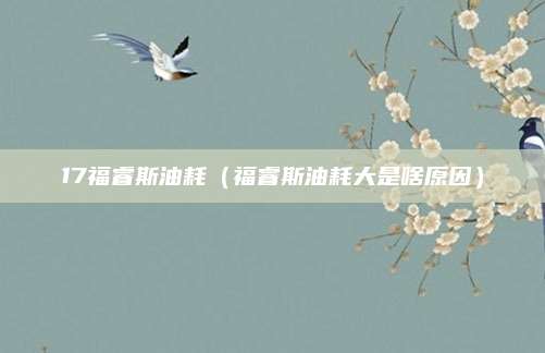 17福睿斯油耗(福睿斯油耗大是啥原因)