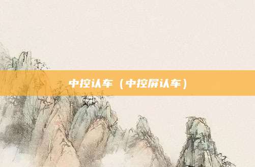中控认车(中控屏认车)