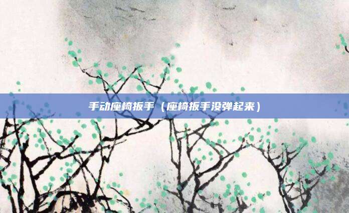 手动座椅扳手(座椅扳手没弹起来)